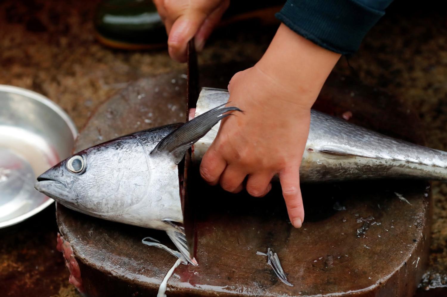 A woman sells fresh fish at a market in Quy Nhon, Vietnam (Pascal Deloche/Godong/Universal Images Group via Getty Images)